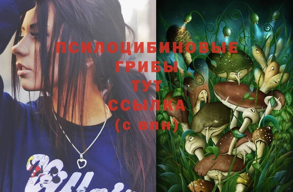 дмт Бородино