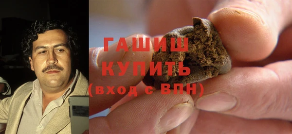 дмт Бородино