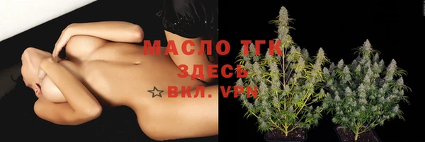 дмт Бородино