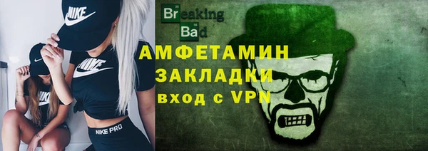 дмт Бородино