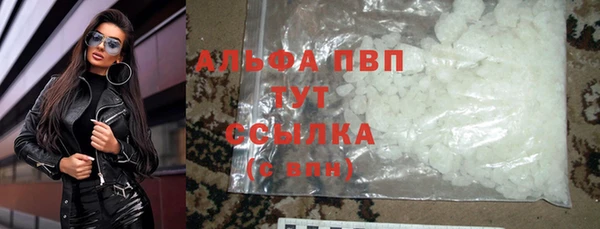 дмт Бородино