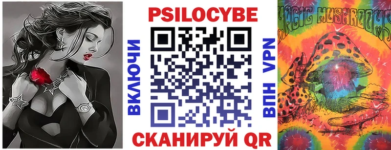 купить закладку Ефремов Псилоцибиновые грибы Cubensis